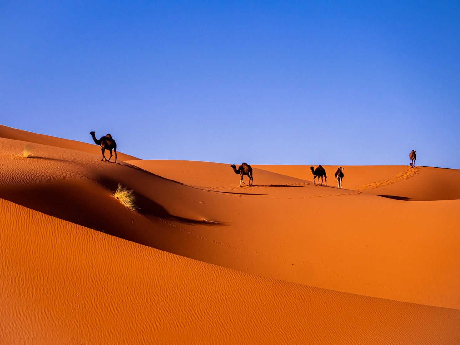 Ten Must Visit Locations In Morocco