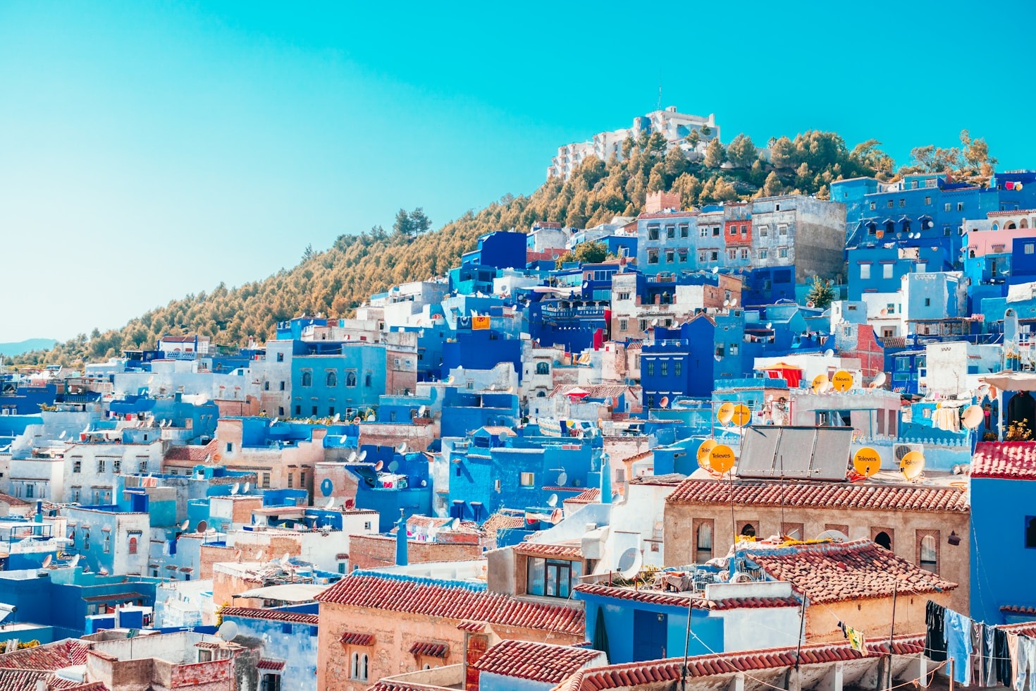 Why Local Guides Transform Your Travels